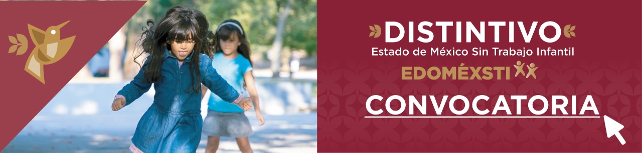 Convocatoria Edomexsti